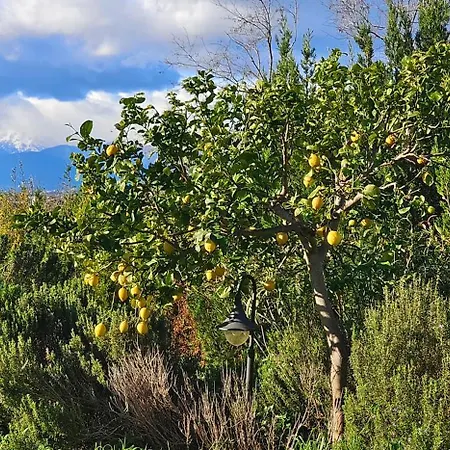 Hébergement de vacances Casa Quercia Indipendente Francavilla Al Mare