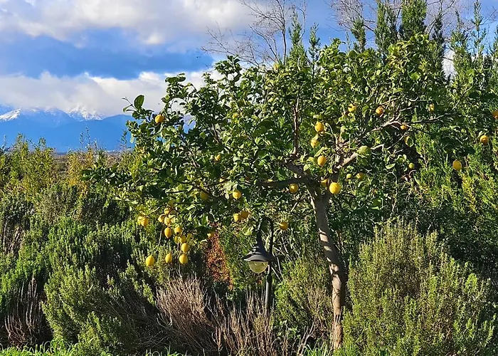Casa vacanze Casa Quercia Indipendente Francavilla Al Mare